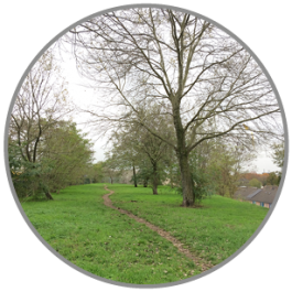 Welkom bij groene corridor Nijmegen