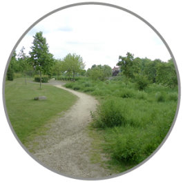 Welkom bij groene corridor Nijmegen